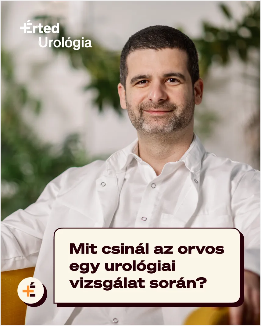 +Érted urology — a doctor answering a patient question