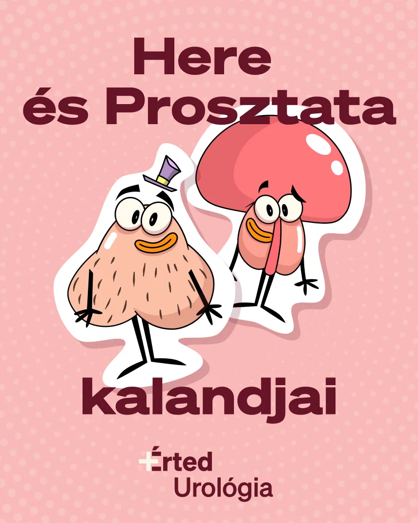+Érted urology — an illustrated campaign poster