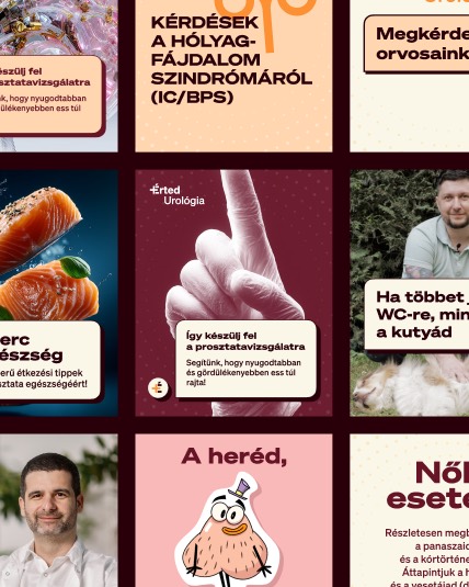 +Érted urology — content produced from the template set
