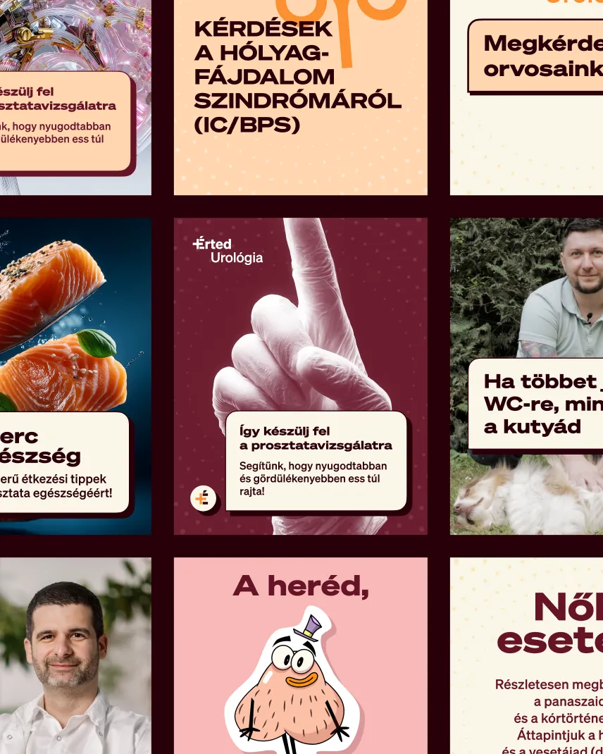 +Érted urology — content produced from the template set